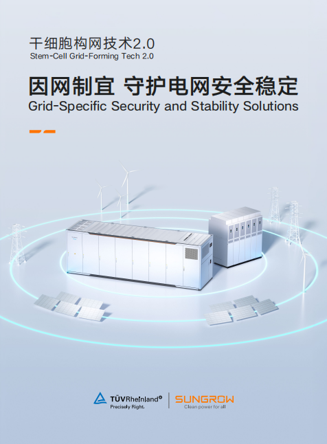 干细胞构网技术2.0因网制宜 守护电网安全稳定